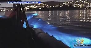 Bioluminescent Waves Light Up Southern California Coasts