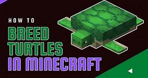 How To Breed Turtles in Minecraft | Quick Tutorial