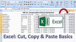 Excel How-To: Cut, Copy and Paste Basics