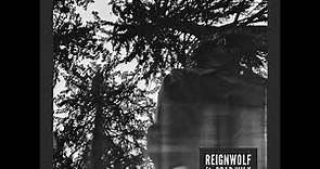 Reignwolf ft. Brad Wilk - The Woods (Official Audio)