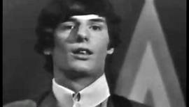 The Turtles - It Ain't Me Babe (Shindig - Sep 30, 1965)