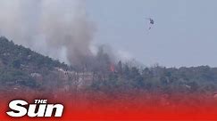 Forest fire in central Seoul forces evacuation of 120 homes