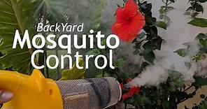 How To Get Rid of Mosquitoes In Your Yard and Landscape