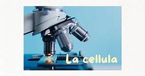 BIOLOGIA: la cellula.