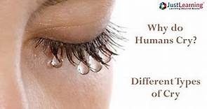 Why Do We Cry | Types Of Tears | Secret Of Human Tears Explained | Just Learning