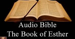 The Book of Esther - NIV Audio Holy Bible - High Quality and Best Speed - Book 17