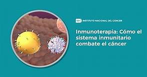 Inmunoterapia: Cómo el sistema inmunitario combate el cáncer