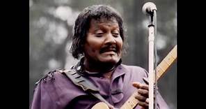 Albert Collins ~ ''When A Guitar Plays The Blues'' 1983