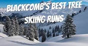 The Best Tree Skiing Runs on Blackcomb | Whistler Blackcomb Ski Guide