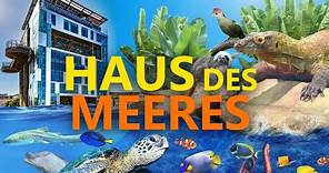 Haus des Meeres (Wien) - Ein ganz besonderes Aquarium | Zoo-Eindruck
