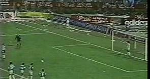 Final libertadores 1995