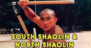 Wu Tang Collection - South Shaolin and North Shaolin