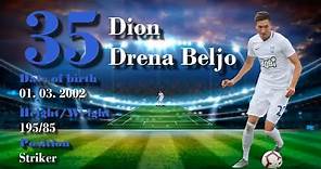 Dion Drena Beljo NK OSIJEK Striker Highlights 2020/21