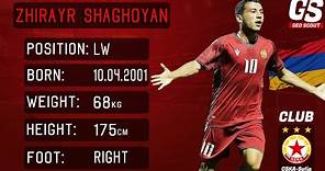 Zhirayr Shaghoyan ► Best Skills & Goals | HD
