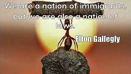 Elton Gallegly: We are a nation of immigrants, but we are also a nation of laws....