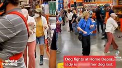 Dog Fight in Home Depot Causes Outrage on TikTok