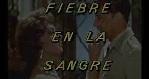 Fiebre en la sangre (Trailer en castellano)