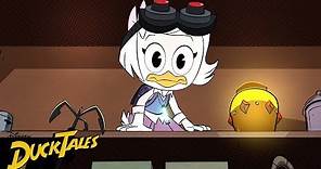 Meet Webby Vanderquack! (short) | DuckTales | Disney XD