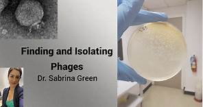 Finding and Isolating Phages