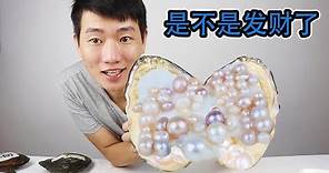 靚仔花330元從網上買了6個珍珠蚌，開出來的珍珠能值多少錢？【衣谷水原】