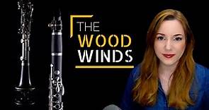 Instruments 102: Woodwinds