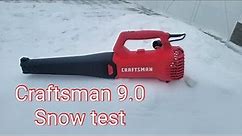 Craftsman 9.0 Leaf/Snow blower