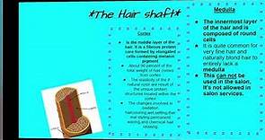 Hair structure & Hair Shaft