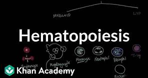 Hematopoiesis | Hematologic System Diseases | NCLEX-RN | Khan Academy