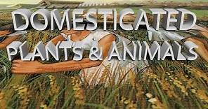 HIST 1121 Lesson 9 - Domesticated Plants & Animals