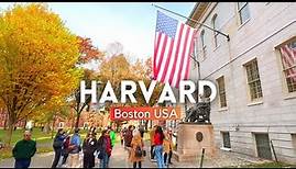 HARVARD UNIVERSITY Campus Tour 2024 4K| Walking Tour Harvard University, Boston, Massachusetts USA
