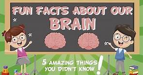 Our Brain: AMAZING FUN FACTS | Educational Videos For Kids