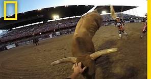Rodeo Bullfighters Grab Life by the Horns | National Geographic