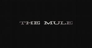 The Mule | Official Trailer | 2018