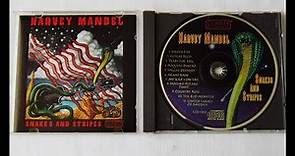 HARVEY MANDEL UNDER FIRE (SNAKES AND STRIPES . ALBUM 1995)