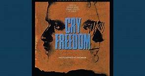 Cry Freedom (Cry Freedom/Soundtrack Version)