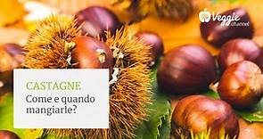 Castagne, come e quando mangiarle? - Genuino Gluten Free