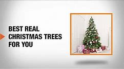 Types of Real Christmas Trees for Your Home | The Home Depot