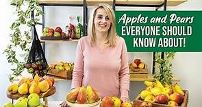 What are the different types of apples?