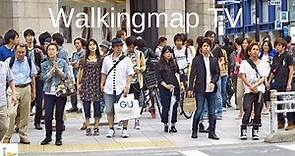 Toyoko Inn Shinjuku Kabukicho (Higashi Shinjuku Station) - Walking Map /東横イン新宿歌舞伎町 /东横INN 东京新宿歌舞伎町