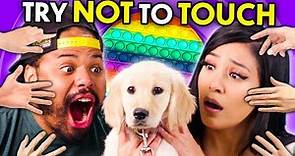 Try Not To Touch Challenge! (Puppies, Cats, Pop-Its) | React