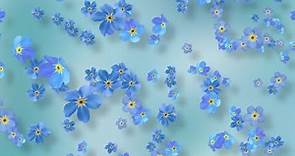 Spring Flower Background Video - Blue Forget-Me-Nots