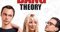 The Big Bang Theory Stagione 1 - streaming online