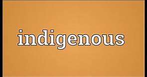 Indigenous Meaning