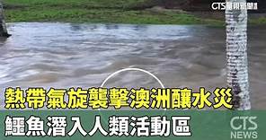 熱帶氣旋襲擊澳洲釀水災 鱷魚潛入人類活動區｜華視新聞 20231219