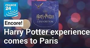 Hogwarts-sur-Seine: The Harry Potter experience comes to Paris • FRANCE 24 English