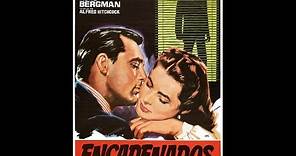 "Encadenados" (Notorius), 1946, película completa en español (de España)