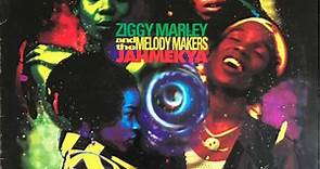 Ziggy Marley And The Melody Makers - Jahmekya