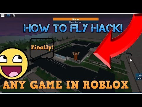 Roblox Fly Hack Pc Zonealarm Results - roblox fly hacking