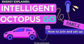 How to set up and use | Intelligent Octopus Go explained