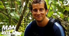 Bear Grylls' Secrets for Surviving in the Temperate Zone | Man Vs. Wild | Discovery